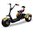 Moto Electrica 3 Ruedas 18" 1000W 60V 20Ah _ Comic